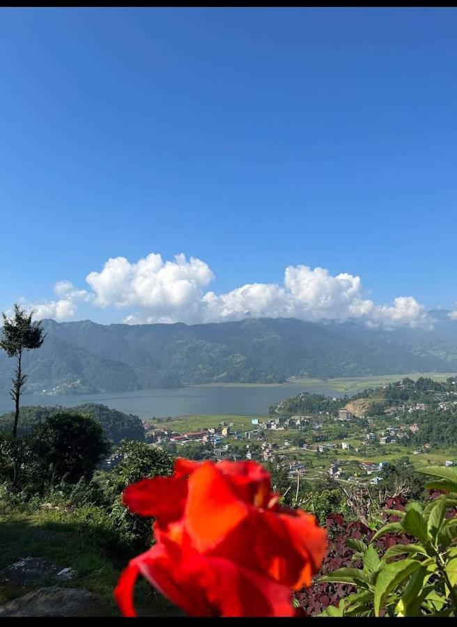 Into The Wild Pokhara Villa Kaski Ngoại thất bức ảnh